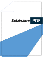 Metabolismo