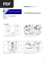 Ciencia do ambiente - Aula 4 - Ecossistemas terrestres B.pdf