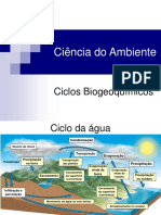 Ciencia do ambiente - Aula 5 - Ciclos biogeoquimicos.pdf