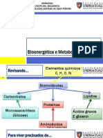 Bioenergética e Metabolismo