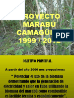 Marabu Proyecto