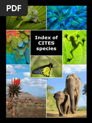 Index Of Cites Species 16 03 26 10 16 Cites Nature