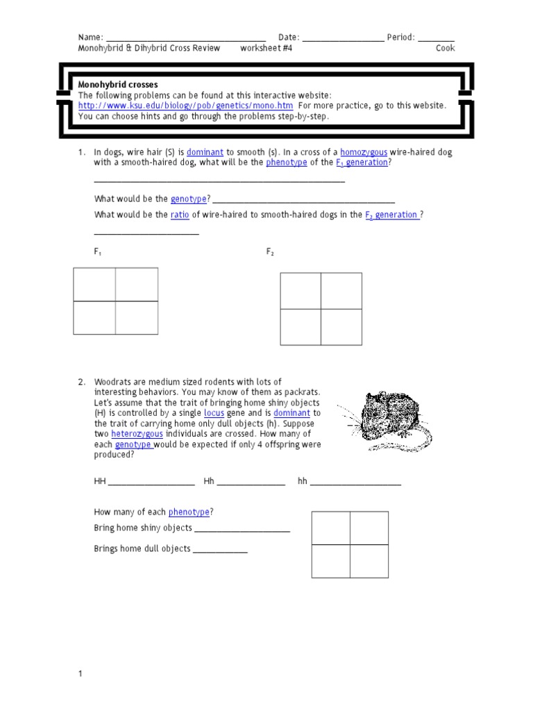 worksheet Monohybrid Cross Worksheet monohybrid dihybrid cross online review dominance genetics zygosity