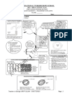 Transport in Plants Summary