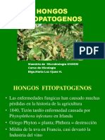 Hongos Fitopatogenos 3