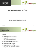 Introduction To PL/SQL: Stone Apple Solutions Pte LTD