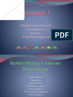 E. coli dan Penyakit Saluran Pencernaan