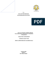 Ads Tez PDF