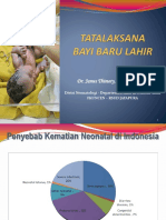 Penyebab Kematian Neonatal di Indonesia