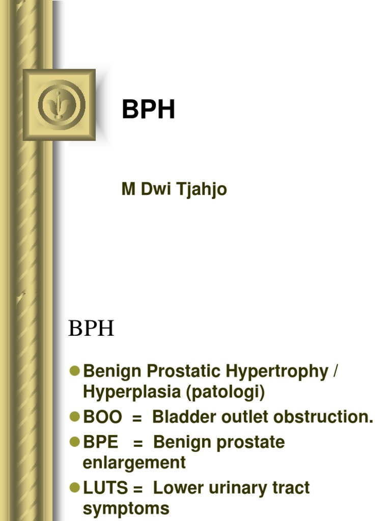 Pemeriksaan Fisik untuk BPH | PDF