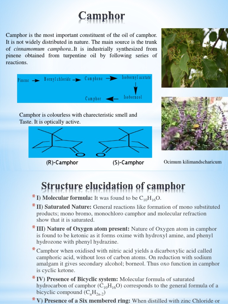 Camphor | PDF | Carboxylic Acid | Carbon