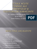 Infectii curs.pptx
