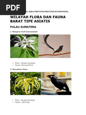 Paling Keren 18 Gambar Bunga Cempaka Hutan  Gambar  Bunga  HD