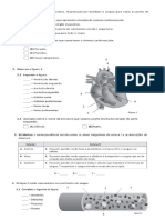 Ficha de Avaliação de CNZ 6º Ano 4º Teste Março 2018