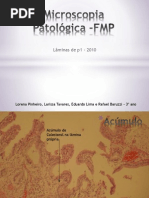 Microscopia Patológica1 -FMP FINAL