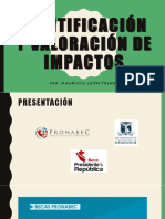 Identificacion de Impactos - MJLT