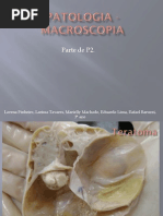 Macroscopia Patologica2 - FMP FINAL