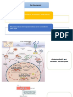 Kortikosteroid