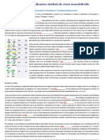 Biología de Joseleg 1, estudiantes 9-10.docx