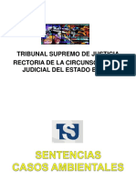 sentencias-ambientales-jueza-rectora-2015.ppt