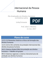 Proteção Internacional Da Pessoa Humana