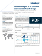 oca_oilseeker_bolivia_cs_esp.pdf