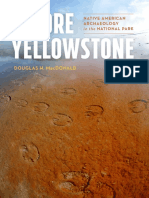 Before Yellowstone