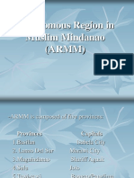Autonomous Region in Muslim Mindanao (ARMM)