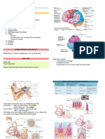 Vertigo (BPPV) - Ifa PDF