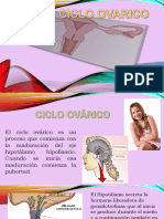 ciclo ovarico