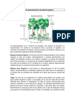 Tasas de Descomposicion de Materia Organica