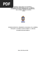 Informe P.P Arlin Camacho