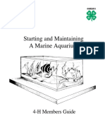 Starting and Maintaining Marine Aquarium