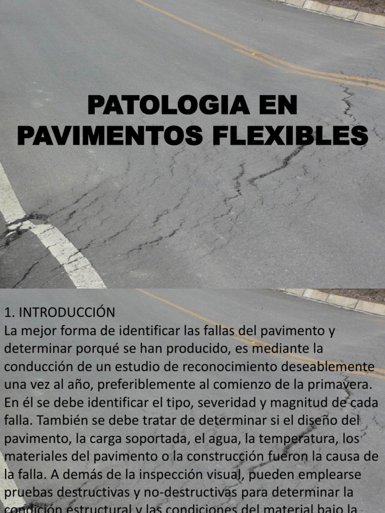 Patologia en Pavimentos Flexibles | PDF