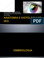 5.2 Anatomía e Histología Del Iris 