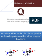 4.C.1 Molecular Variation: Variation in Molecular Units Provides Cells With A Wider Range of Functions