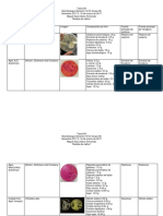 Tarea 8 de Micro