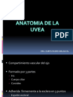 Anatomía. Úvea 