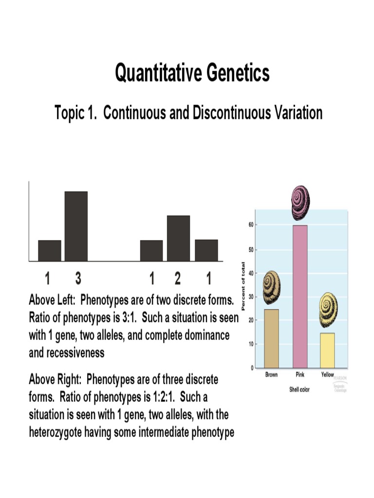 DeJong 4 PDF PDF Heritability Natural Selection
