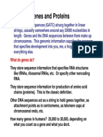 Genes and Proteins: What Do Genes Do?