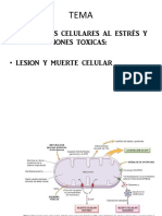 1 Clase Lesion Patologia i 2018