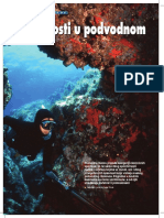 Opasnosti U Podvodnom Ribolovu