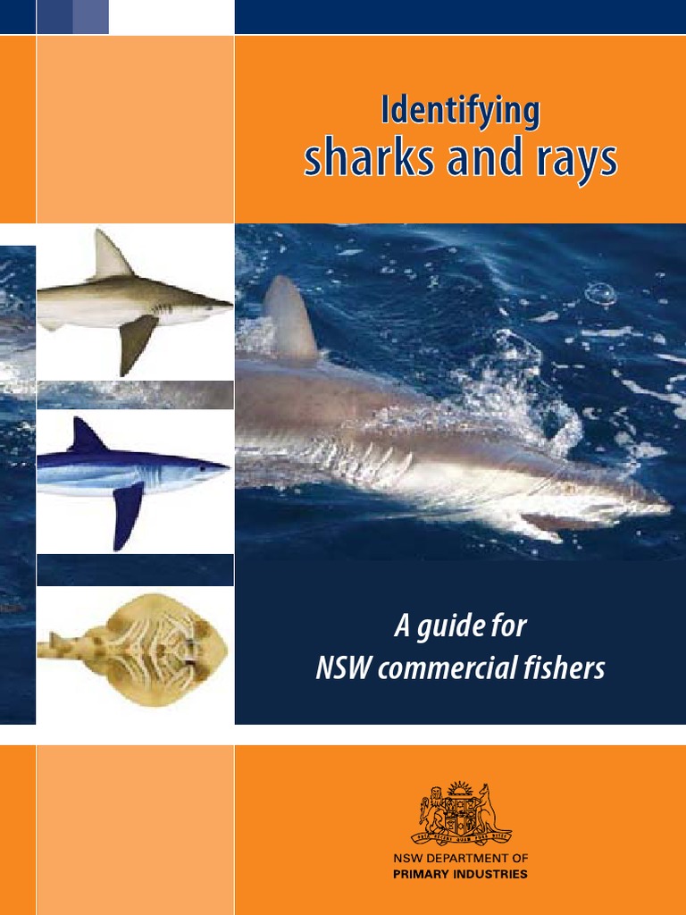 Identifyingsharksandrays.pdf Sharks Aquatic Vertebrates