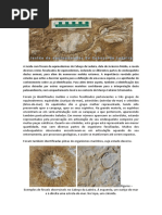 Texto de Visitação de Equinodermes Para PNSAC[1]