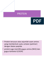 PROTEIN-full.pptx