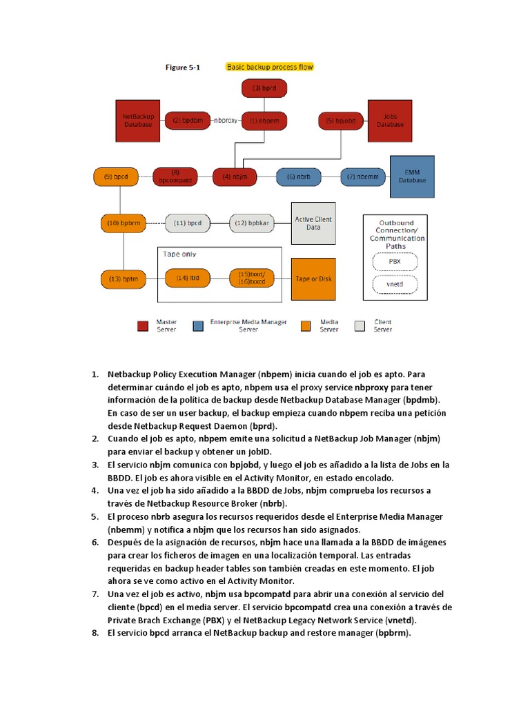 Proceso de Backup en NetBackup | PDF | Apoyo | Datos de computadora