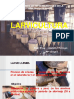 Larvi Cultura