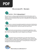 Microsoft Excel (ANA)