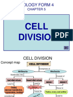 Cell Division Guide