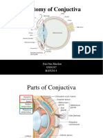 Anatomy of Conjuctiva